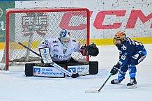 Eishockey, Frauen, DFEL, Saison 2024-2025, ERC Ingolstadt - ECDC Memmingen Indians, 19.01.2025