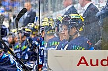 ERC Ingolstadt vs Duesseldorfer EG am 28.12.2018, Spieltag 33