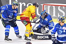 ERC Ingolstadt vs Duesseldorfer EG, Eishockey, DEL, Deutsche Eishockey Liga, Spieltag 22, 19.11.2017