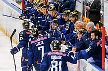 ERC Ingolstadt - Krefeld Pinguine, Eishockey, DEL, Deutsche Eishockey Liga, Spieltag 34, 05.01.2016, Foto: st-foto.de / Oliver STRISCH