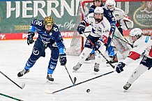 Eishockey, Frauen, DFEL, Saison 2024-2025, ERC Ingolstadt - Eisbären Berlin, 15.02.2025