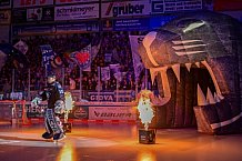 Eishockey, Herren, DEL, Saison 2024-2025, Spieltag 49, ERC Ingolstadt - Straubing Tigers, 28.02.2025