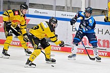 Eishockey, Herren, U20 DNL, Saison 2025-2026, ERC Ingolstadt - Krefeld Pinguine, 10.01.2026