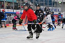Eishockey, Herren, DEL, Saison 2024-2025, ERC Ingolstadt - Kids On Ice Day, 11.01.2025