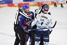 Eishockey, Herren, DEL, Saison 2020-2021, Adler Mannheim - ERC Ingolstadt, 24.01.2021