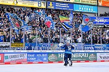 Eishockey, Herren, DEL, Saison 2024-2025, Spieltag 38, ERC Ingolstadt - Nürnberg Ice Tigers, 19.01.2025