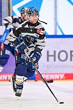 Eishockey, Herren, DEL, Saison 2024-2025, Playoffs Halbfinale, Spiel 1, ERC Ingolstadt - Kölner Haie, 02.04.2025