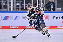 Eishockey, Herren, DEL, Saison 2023-2024, Spieltag 38, ERC Ingolstadt - Adler Mannheim, 14.01.2024