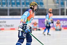 Eishockey, Frauen, DFEL, Saison 2024-2025, ERC Ingolstadt - ECDC Memmingen Indians, 16.11.2024
