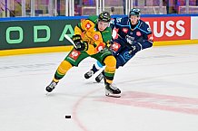 Hockey, Mens, CHL, Season 2025-2026, Regular Season, Game Day 1, ERC Ingolstadt - Ilves Tampere, 28.08.2025