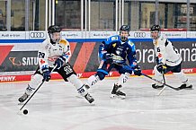 Eishockey, Herren, U20 DNL, Saison 2025-2026, ERC Ingolstadt - ESC Dresden, 14.02.2026