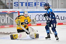 Eishockey, Frauen, DFEL, Saison 2025-2026, Spieltag 3, ERC Ingolstadt - Mad Dogs Mannheim, 27.09.2025