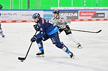 Eishockey, Herren, DEL, Saison 2024-2025, Spieltag 36, ERC Ingolstadt - Kölner Haie, 12.01.2025