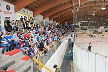 Eishockey, Herren, DEL, Saison 2024-2025, EHC Olten - ERC Ingolstadt, 25.08.2024