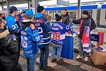 Eishockey, Herren, DEL, Saison 2025-2026, Spiel 24, Nürnberg Ice Tigers - ERC Ingolstadt, 30.11.2025