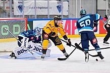 Hockey, Mens, CHL, Season 2025-2026, Regular Season, Game Day 2, ERC Ingolstadt - Kalpa Kuopio, 30.08.2025