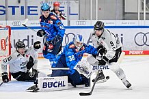 Eishockey, Herren, DEL, Saison 2025-2026, Spiel 16, ERC Ingolstadt - Kölner Haie, 31.10.2025