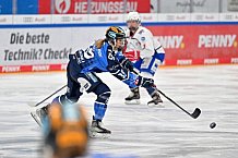 Eishockey, Frauen, DFEL, Saison 2023-2024, ERC Ingolstadt - ESC Planegg-Würmtal, 26.11.2023