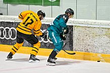 Eishockey, Herren, DEL, Saison 2026-2027, ERC Ingolstadt - HC Verva Litvinov - Steinbach Black Wings Linz, 22.08.2026