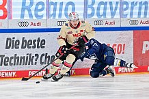 Eishockey, Herren, DEL, Saison 2024-2025, Playoffs Viertelfinale, Spiel 5, ERC Ingolstadt - Nürnberg Ice Tigers, 26.03.2025
