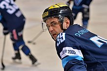 ERC Ingolstadt vs Thomas Sabo Ice Tigers, Eishockey, DEL, Deutsche Eishockey Liga, 30.12.2015