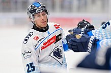 Eishockey, Herren, DEL, Saison 2024-2025, Vorbereitung, ERC Ingolstadt - Dresdner Eislöwen, 18.08.2024