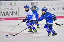 ERC Ingolstadt vs Fischtown Pinguins, Eishockey, DEL, Deutsche Eishockey Liga, Spieltag 13, 21.10.2018