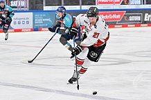 Eishockey, Herren, DEL, Saison 2026-2027, Spieltag 6, ERC Ingolstadt - Kölner Haie, 04.10.2026