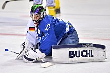 ERC Ingolstadt vs Krefeld Pinguine, DEL, Deutsche Eishockey Liga, Spieltag 44, 01.02.2019