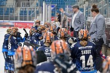 Eishockey, Frauen, DFEL, Saison 2024-2025, ERC Ingolstadt - Mad Dogs Mannheim, 23.11.2024