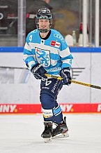 Eishockey, Herren, DEL, Saison 2022-2023, Spieltag 42, ERC Ingolstadt - Düsseldorfer EG, 13.01.2023