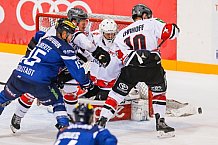 ERC Ingolstadt - Koelner Haie, Eishockey, DEL, Deutsche Eishockey Liga, Spieltag 22, 25.11.2016, Foto: st-foto.de / Oliver STRISCH