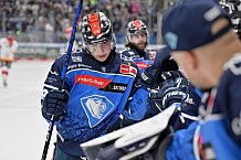 Eishockey, Herren, DEL, Saison 2023-2024, Spieltag 46, ERC Ingolstadt - Düsseldorfer EG, 15.02.2024