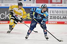 Eishockey, Frauen, DFEL, Halbfinale, Saison 2022-2023, ERC Ingolstadt - Mad Dogs Mannheim, 25.02.2023