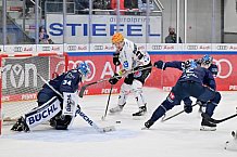 Eishockey, Herren, DEL, Saison 2024-2025, Spieltag 25, ERC Ingolstadt - Pinguins Bremerhaven, 12.12.2024