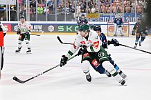 Eishockey, Mens, CHL, Season 2023-2024, ERC Ingolstadt - Färjestad Karlstad, 02.09.2023