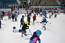Eishockey, Herren, DEL, Saison 2024-2025, ERC Ingolstadt - Kids On Ice Day, 11.01.2025