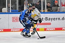 Eishockey, Frauen, DFEL, Saison 2023-2024, ERC Ingolstadt - Mad Dogs Mannheim, 18.02.2024