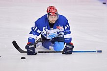 04.01.2021 - ERC Ingolstadt - Adler Mannheim