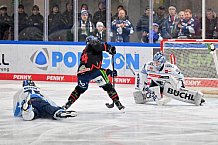 Eishockey, Herren, DEL, Saison 2024-2025, Spieltag 39, Straubing Tigers - ERC Ingolstadt, 24.01.2025