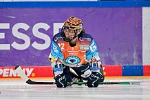 Eishockey, Frauen, European Womens Hockey League, Saison 2024-2025, ERC Ingolstadt - Lakers Kärnten, 13.09.2024