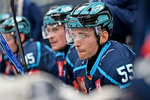 Hockey, Mens, CHL, Season 2025-2026, Regular Season, Game Day 1, ERC Ingolstadt - Ilves Tampere, 28.08.2025
