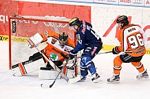 ERC Ingolstadt  - Grizzlys Wolfsburg, Eishockey, DEL, Deutsche Eishockey Liga, Spieltag 42, 31.01.2016