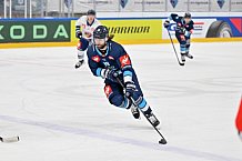 Eishockey, Mens, CHL, Season 2023-2024, ERC Ingolstadt - Vitkovice Ridera, 17.10.2023