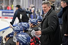Eishockey, Herren, DEL, Saison 2024-2025, Spieltag 39, Straubing Tigers - ERC Ingolstadt, 24.01.2025