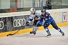 Eishockey, Herren, DEL, Saison 2024-2025, ERC Ingolstadt - Iserlohn Roosters, 23.08.2024