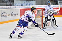 ERC Ingolstadt vs Adler Mannheim, Eishockey, DEL, Deutsche Eishockey Liga, Spieltag 43, 29.01.2017