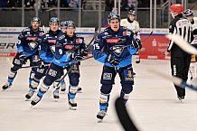Eishockey, Herren, DEL, Saison 2024-2025, Spieltag 12, ERC Ingolstadt - Eisbären Berlin, 24.10.2024