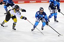 Eishockey, Frauen, DFEL, Saison 2020-2021, ERC Ingolstadt - Mad Dogs Mannheim, 30.01.2021