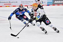 Eishockey, Herren, DEL, Saison 2023-2024, Spieltag 45, ERC Ingolstadt - Fischtown Pinguins, 27.02.2024